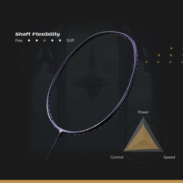 Raket Badminton DARK KNIGHT
