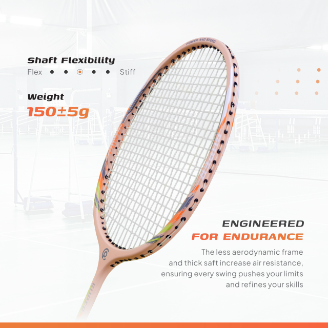 Raket Badminton POWER TRAINING 150